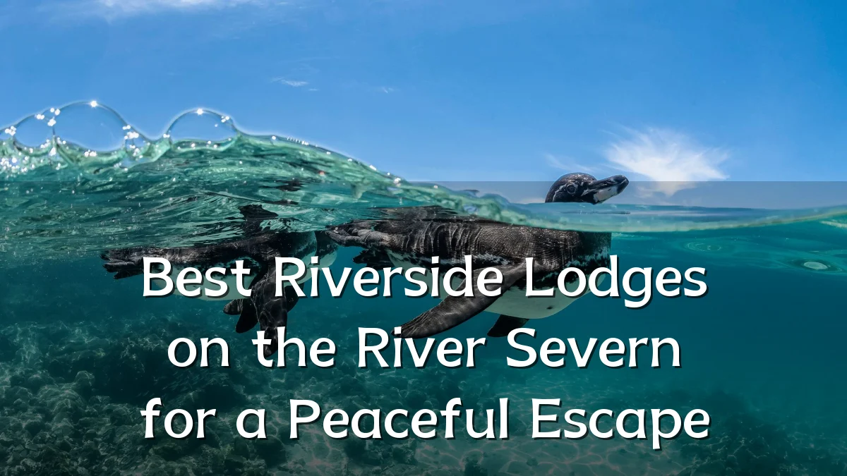 Best Riverside Lodges on the River Severn for a Peaceful Escape