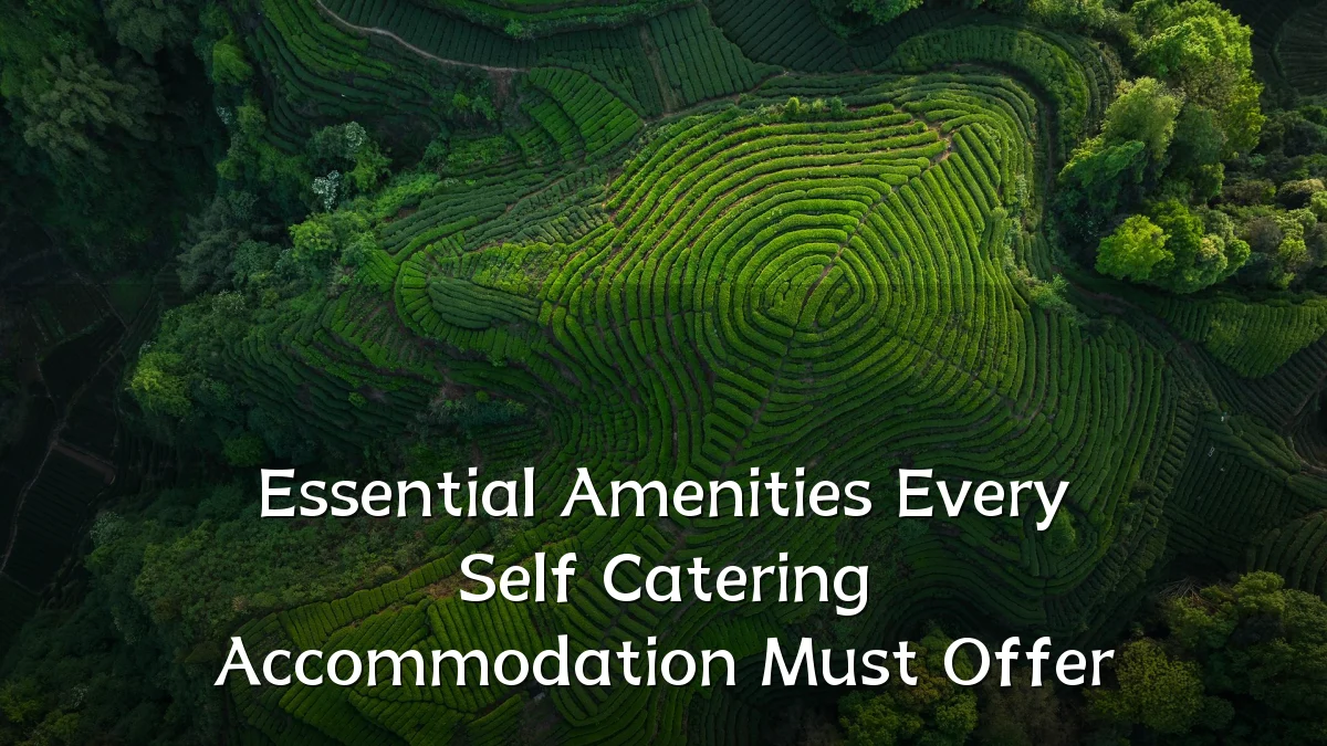 Essential Amenities Every Self Catering Accommodation Must Offer