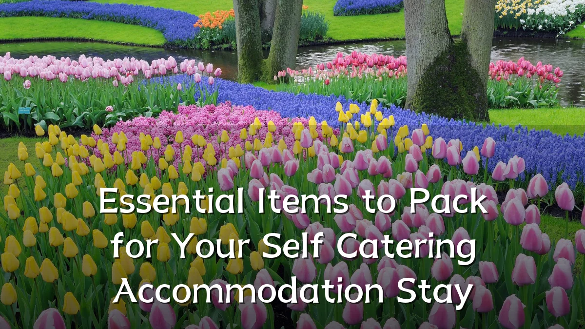 Essential Items to Pack for Your Self Catering Accommodation Stay