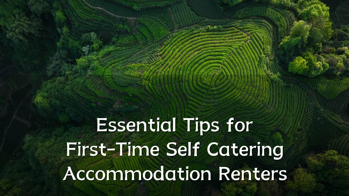 Essential Tips for First-Time Self Catering Accommodation Renters