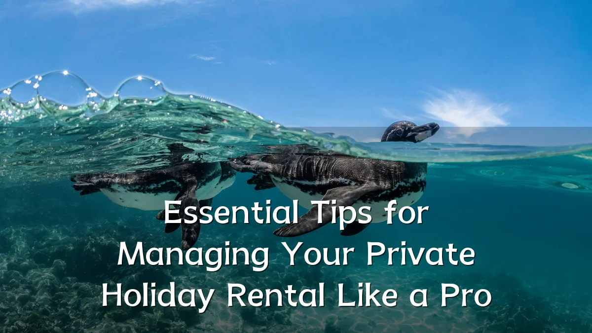 Essential Tips for Managing Your Private Holiday Rental Like a Pro