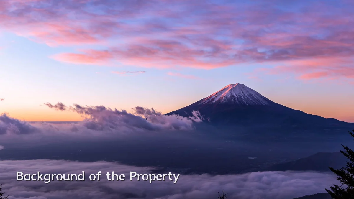 Background of the Property