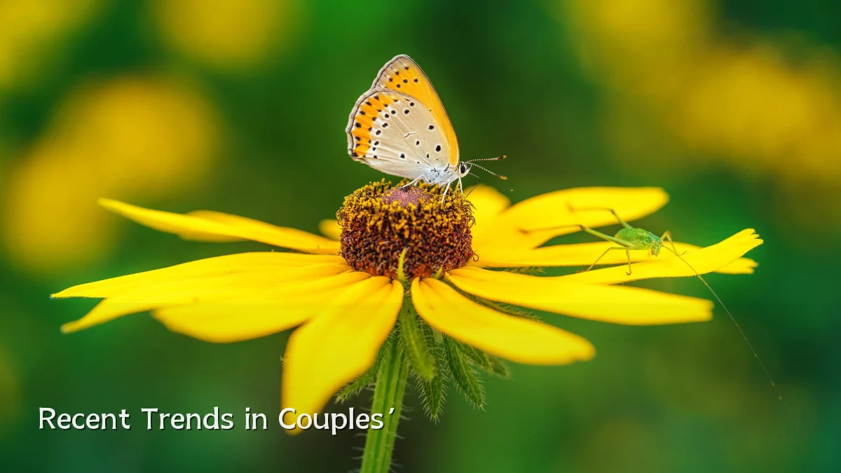 Recent Trends in Couples’