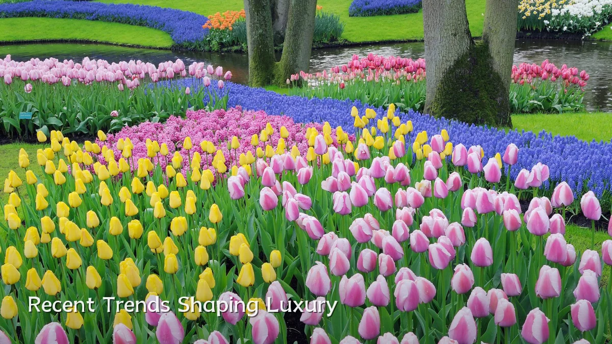 Recent Trends Shaping Luxury