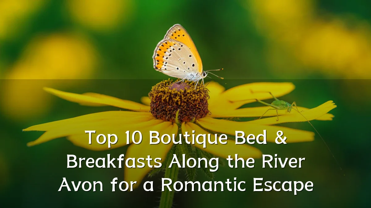 Top 10 Boutique Bed & Breakfasts Along the River Avon for a Romantic Escape