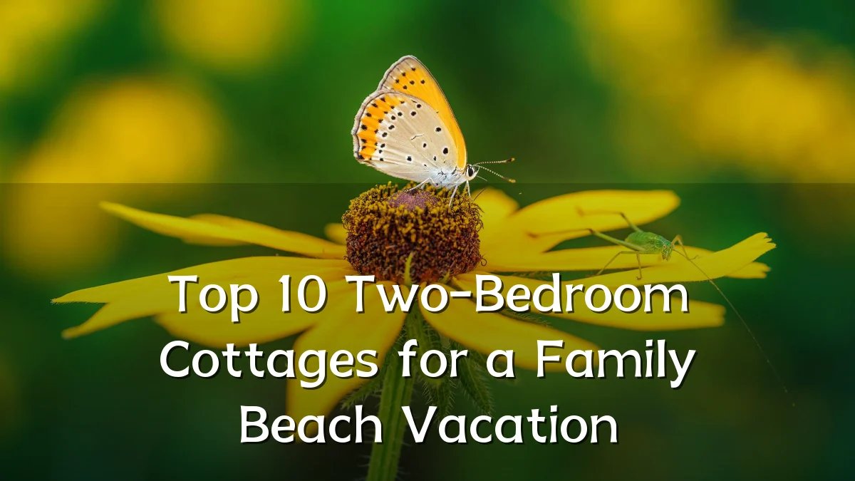 Top 10 Two-Bedroom Cottages for a Family Beach Vacation