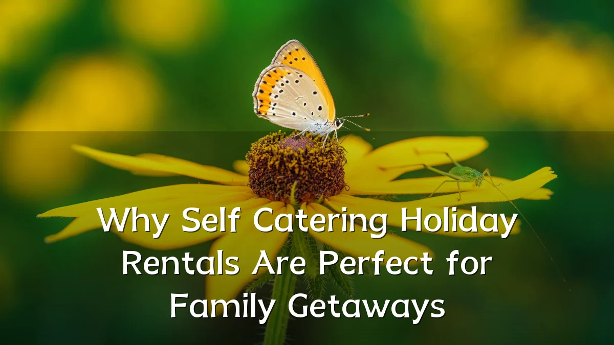 Why Self Catering Holiday Rentals Are Perfect for Family Getaways