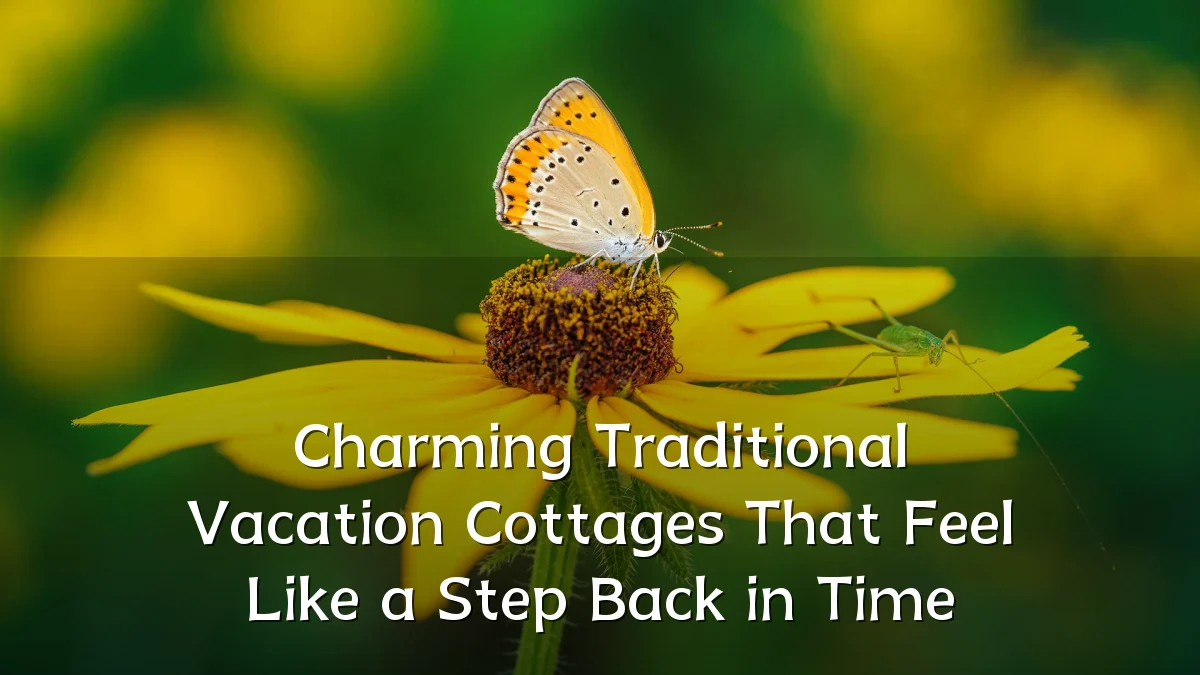 Charming Traditional Vacation Cottages That Feel Like a Step Back in Time