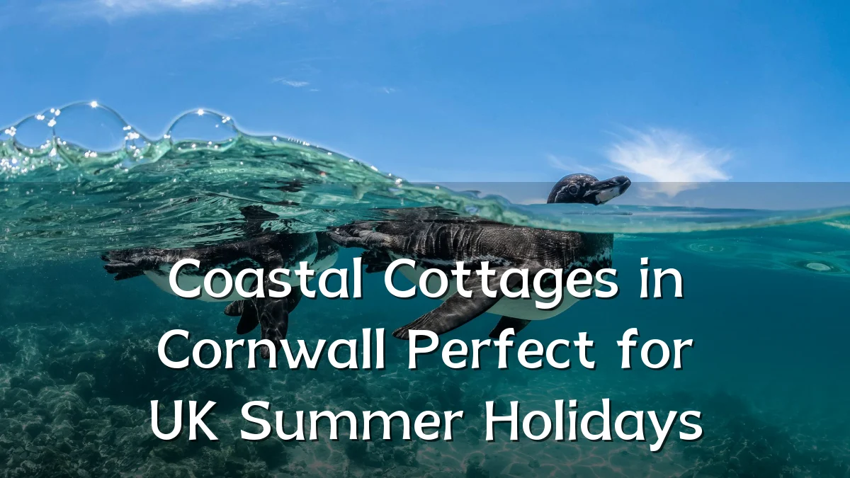 Coastal Cottages in Cornwall Perfect for UK Summer Holidays