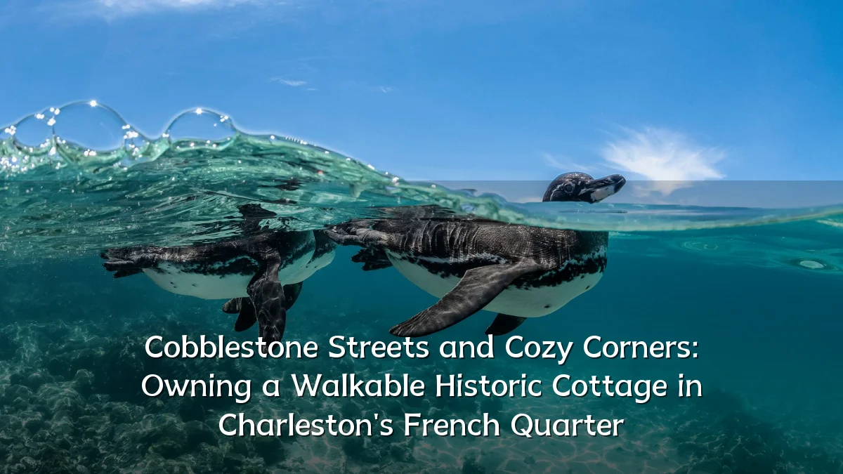 Cobblestone Streets and Cozy Corners: Owning a Walkable Historic Cottage in Charleston's French Quarter