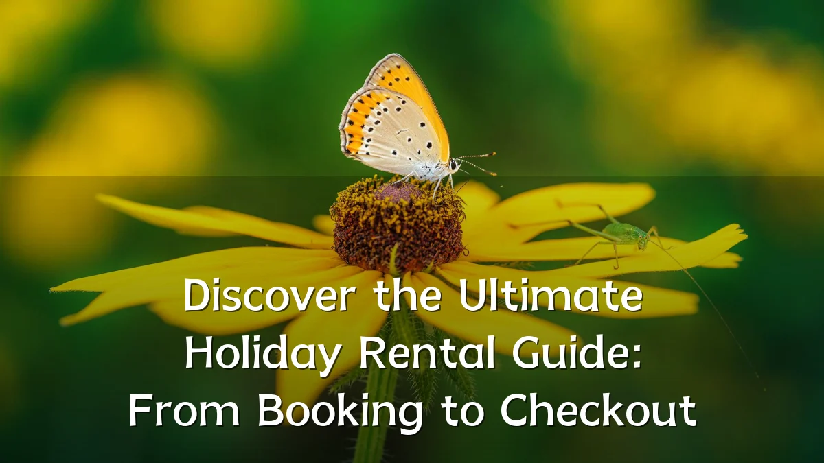 Discover the Ultimate Holiday Rental Guide: From Booking to Checkout