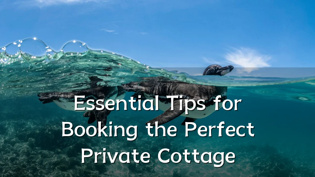Essential Tips for Booking the Perfect Private Cottage
