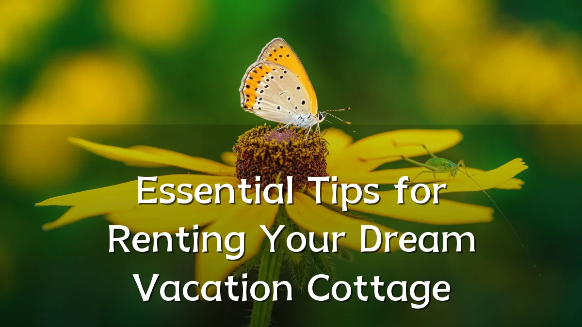 Essential Tips for Renting Your Dream Vacation Cottage