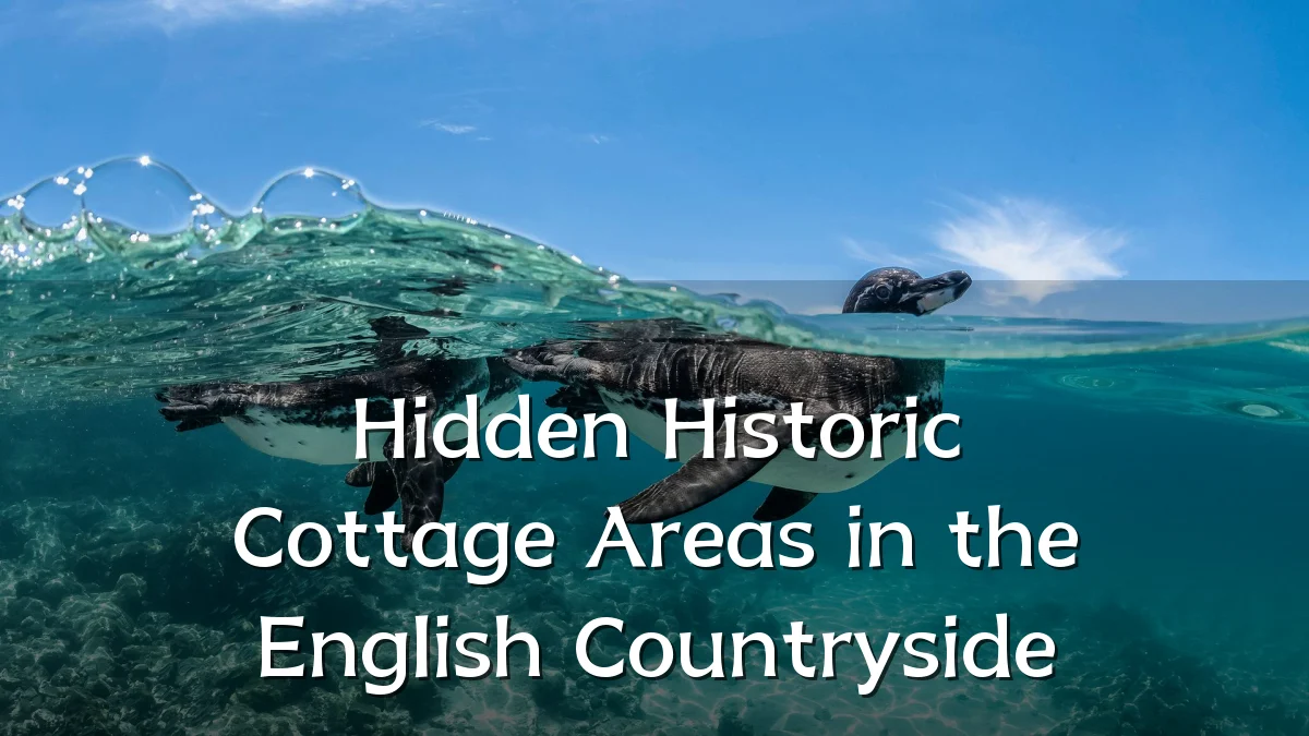 Hidden Historic Cottage Areas in the English Countryside