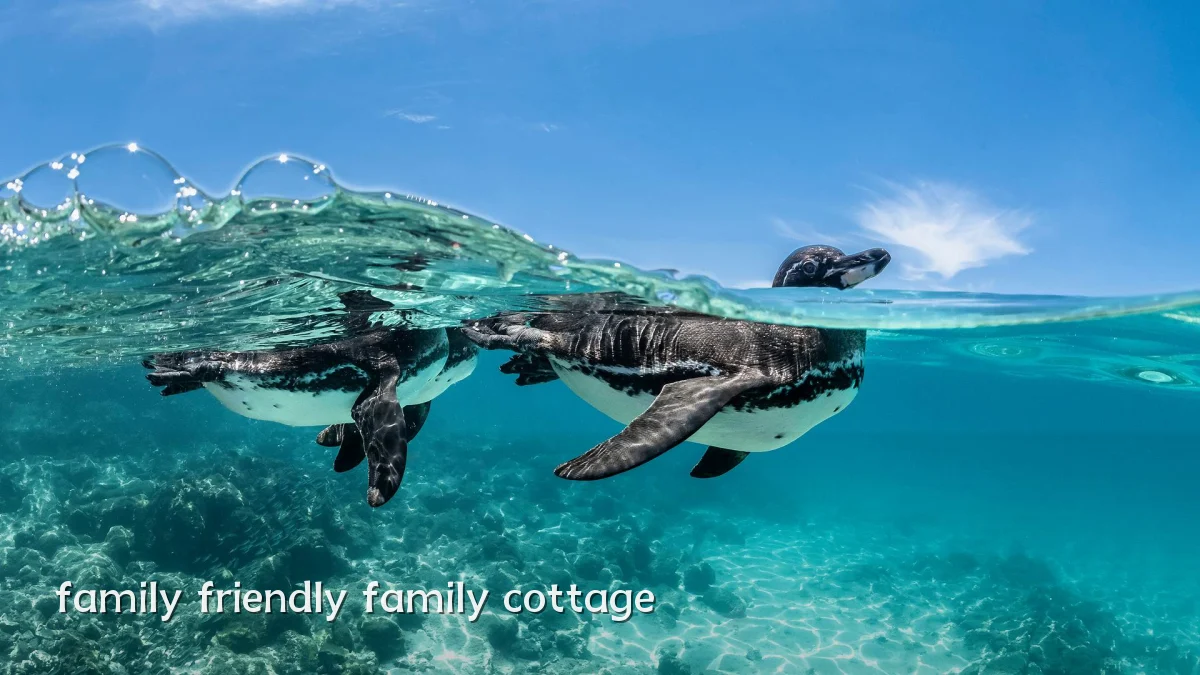 family friendly family cottage
