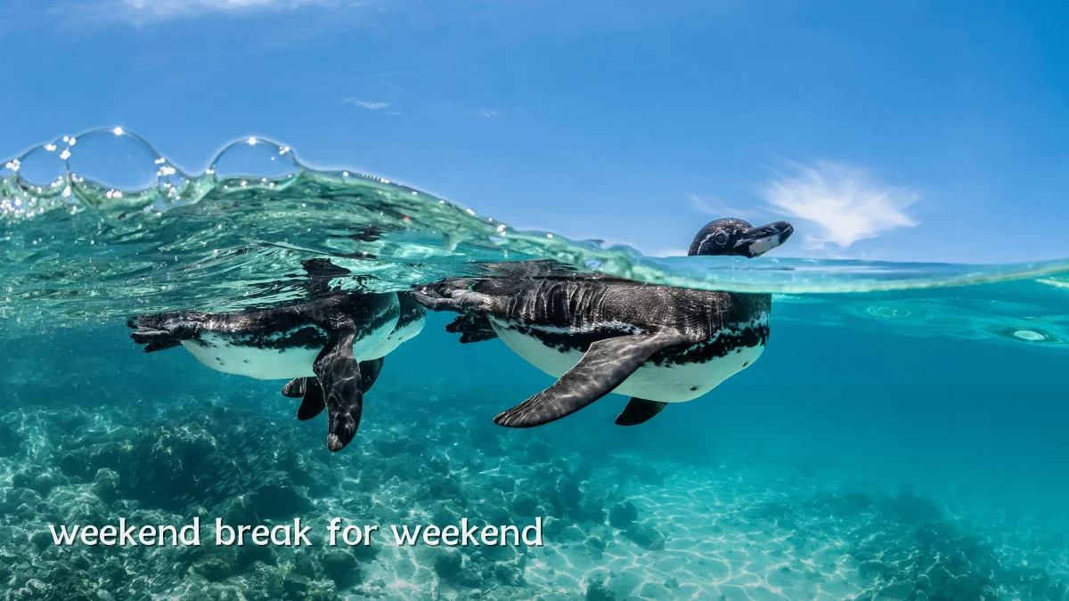 weekend break for weekend