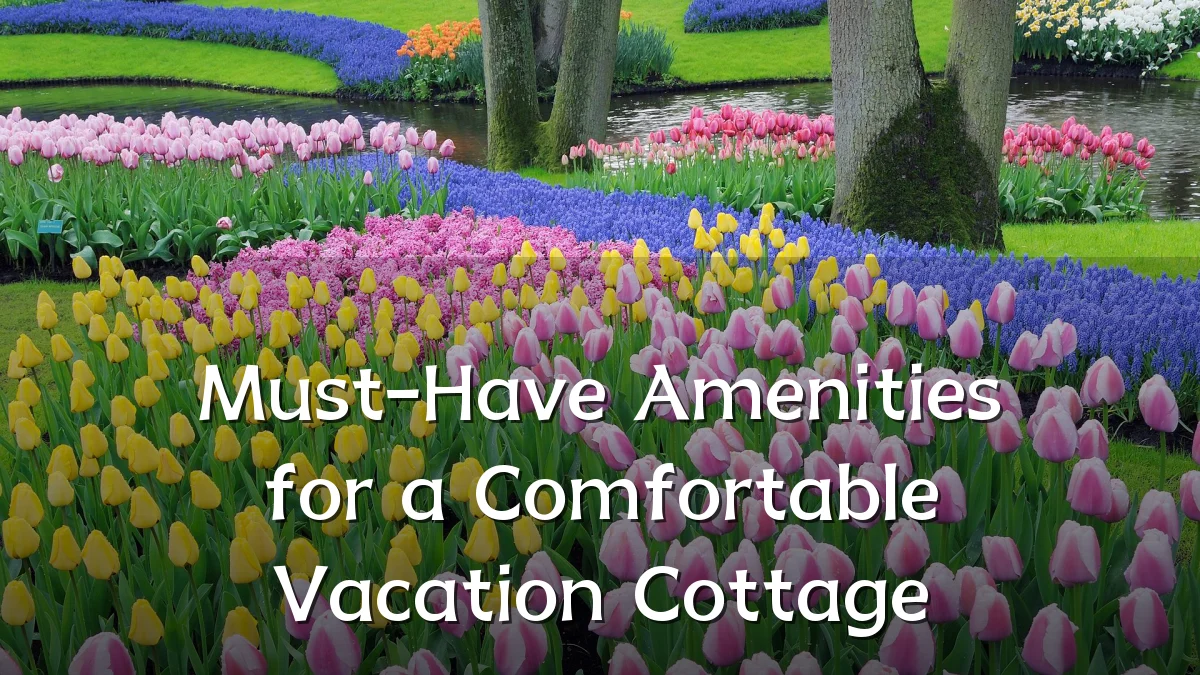 Must-Have Amenities for a Comfortable Vacation Cottage