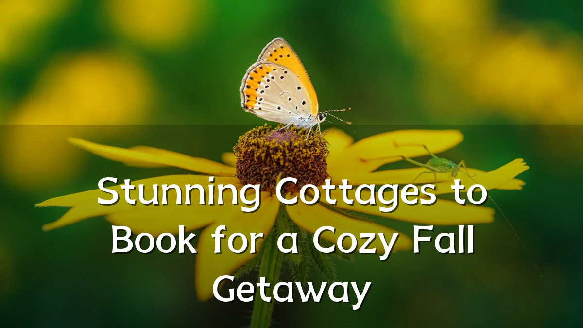 Stunning Cottages to Book for a Cozy Fall Getaway