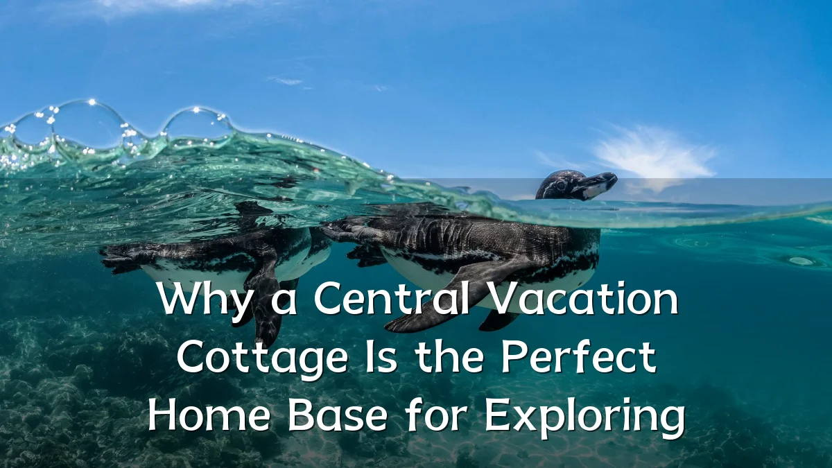 Why a Central Vacation Cottage Is the Perfect Home Base for Exploring
